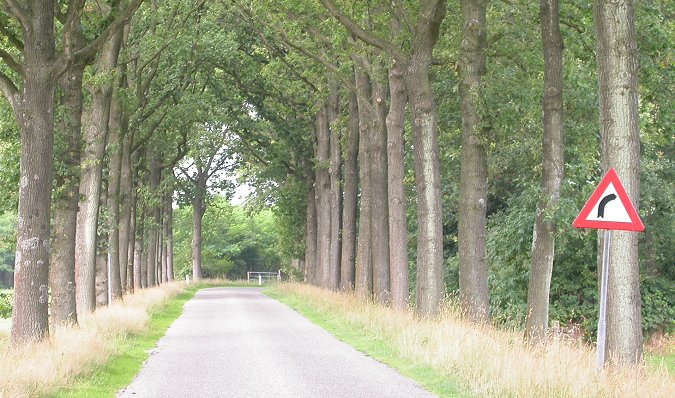 Meetpunt van het Meetnet Korstmossen en Ammoniak in Friesland - foto: Laurens Sparrius