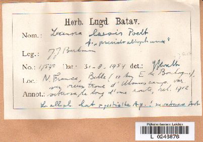 Een herbarium-etiket van J.J. Barkman.