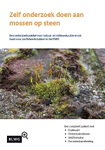 Onderzoek doen aan Mossen op Steen