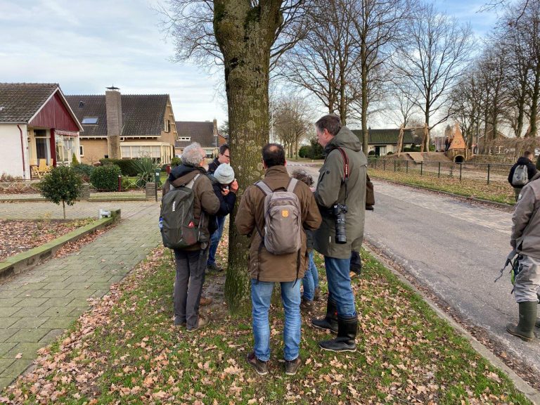 Foto: Peter D'Joos