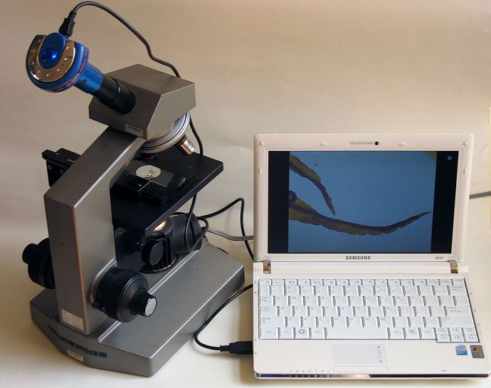 Oculaircamera