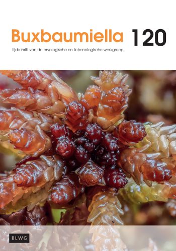 Buxbaumiella cover 120 Buxbaumiella cover 120